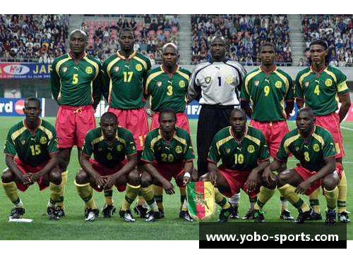 非洲杯：非洲足球盛事的辉煌与挑战