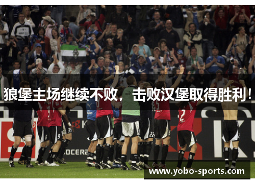 狼堡主场继续不败，击败汉堡取得胜利！